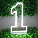 Axyaa Numbers Neon Sign 0-9 with Stand Base - USB Powered Dimmable Light Sign