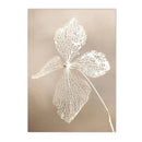 Axyaa Dandelion Reed Canvas Print Nordic Wall Art for Home Decor