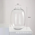 Axyaa Glass Hydroponic Vase Small Mouth Decorative Dried Flower Arrangement Craft