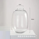 Axyaa Glass Hydroponic Vase Small Mouth Decorative Dried Flower Arrangement Craft