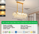 Axyaa Crystal Chandelier: Minimalist Living Room, Bedroom, and Restaurant Lighting
