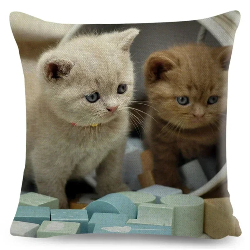 Axyaa Fold Ear Cat Pillow Covers - Set of 2 Cute Pet Pillowcases