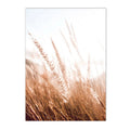 Sunset Grass Reed Art Print Landscape Canvas Wall Art Nordic Posters Axyaa