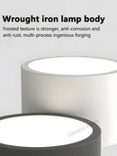 Axyaa Nordic Minimalist Cylinder LED Ceiling Light for Living Room and Bedroom
