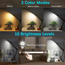 Axyaa LED Lighted 5X Magnifying Glass with 3 Color Modes