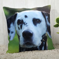 Dalmatians Pillowcase - Axyaa Modern Living Room Decoration