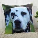 Dalmatians Pillowcase - Axyaa Modern Living Room Decoration