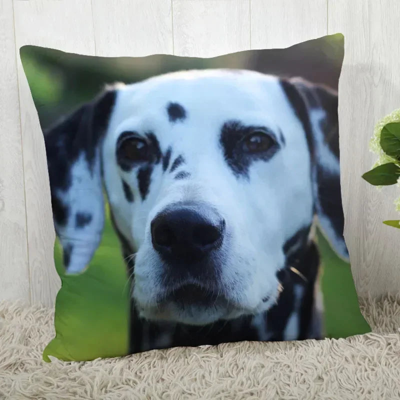 Dalmatians Pillowcase - Axyaa Modern Living Room Decoration
