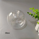 Axyaa Ball Glass Pendant Lamp Globe with 2.2cm Thread for G9 Hanging Light