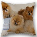 Axyaa Pomeranian Dog Pillowcase Cotton Linen Square Zipper 45X45cm Wedding Decor Pillow cover