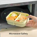 Axyaa Divided Lunch Box: Large Capacity, Sealed Container for Food, Fruit, Salad