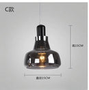 Axyaa Smoke Gray Glass LED Chandelier - Minimalist Modern Lighting