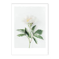 Axyaa Islamic Botanical Canvas Wall Art with Tulip and Eucalyptus - Green Leaf Quran Décor
