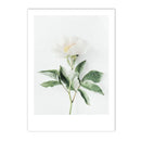 Axyaa Islamic Botanical Canvas Wall Art with Tulip and Eucalyptus - Green Leaf Quran Décor