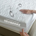 Axyaa Quilted Mattress Protector: Waterproof, Non-Slip, Breathable, Anti-Mite, Anti-Bacterial