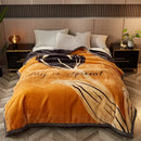 Axyaa Raschel Plush Warm Blanket 1PC 150/180/200cm - Thick & Cozy