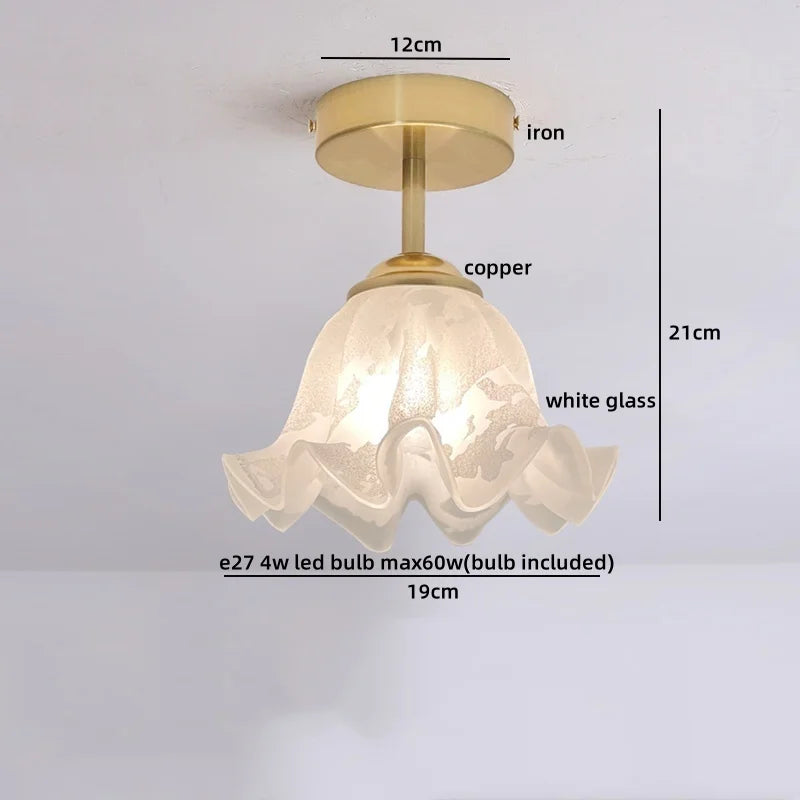 Axyaa Copper Glass LED Ceiling Lamp - Modern Indoor Lighting Fixtures