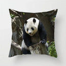 Axyaa Panda Print Polyester Cushion Cover - 45x45cm