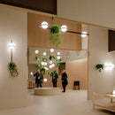 Axyaa Modern Plant Pendant Lights | Nordic DIY Sky Garden Design Hanging Lamp