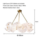 Axyaa Petal Glass LED Chandelier - Luxury Gold Metal Pendant Light