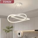 Axyaa LED Ceiling Chandelier | Modern Living Room Kitchen Bedroom Lighting Fixtures