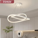 Axyaa LED Ceiling Chandelier: Modern Lighting for Living Dining Bedroom Kitchen Decor