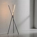 Axyaa Modern Minimalism LED Floor Lamp for Living Room and Bedroom
