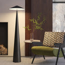 Axyaa Minimalist LED Floor Lamp - Remote Control Dimming Vertical Light