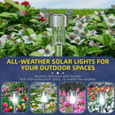Axyaa Solar Garden Lanterns: Waterproof Landscape Lighting for Pathway, Yard, Lawn