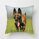 Axyaa Dog Pig Pattern Polyester Throw Pillow Cover Home Decor Pillowcases 45 x 45cm