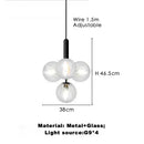 Axyaa Nordic Glass Pendant Light - Modern Gold Black Hanging Lamp for Home Interiors