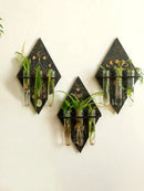 Wooden Plant Propagation Station with Plastic Test Tubes by Axyaa - Boho Home Decor