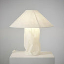 Axyaa Nordic Style Table Lamp for Living Room & Bedroom