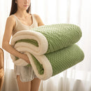 Axyaa 3D Embossed Velvet Thick Blanket Queen Size - Cozy & Warm Fleece Bedspread