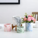Axyaa Marble Ceramic Succulent Planter Set