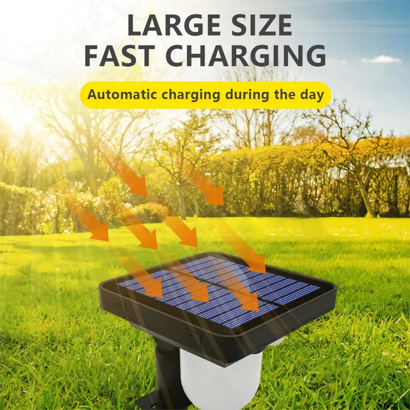 Axyaa Solar Garden Spot Light with Human Body Induction for Outdoor Pathway Lighting