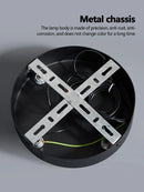 Axyaa LED Ceiling Lamp: Modern, Energy Efficient, Black Chandelier for Living Room, Bedroom