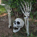 Halloween Skeleton Stakes with Crows for Axyaa Halloween Party Decor