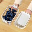 Axyaa Spice Storage Boxes: Multi-layered Plastic Seasoning Organizer for Kitchen