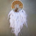 Dream Catcher Tree Of Life Wall Hanging by Axyaa - Boho Decor Wind Chimes & Ornaments