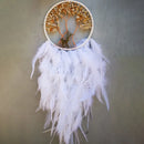 Dream Catcher Tree Of Life Wall Hanging by Axyaa - Boho Decor Wind Chimes & Ornaments