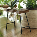 Axyaa Wooden Frame Hydroponic Glass Bulb Vase Planter for Home Decor