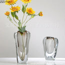 Axyaa Transparent Glass Vase: Thickened Hydroponic Artistic Flower Vessel Home Décor Craft