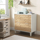 Axyaa 2-Drawer Lateral File Cabinet for Office Storage and Organization