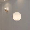 Axyaa White Glass Ball Chandelier - LED Pendant Lights for Home and Restaurant Decor