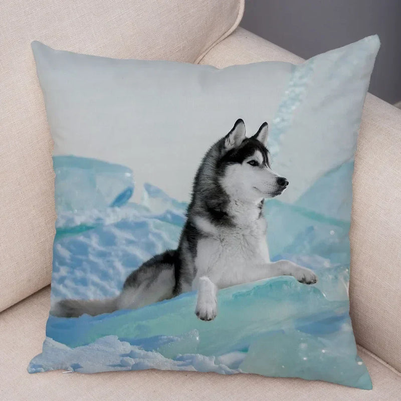 Axyaa Siberian Husky Pet Sofa Cushion Cover - Cute Dog Print Pillowcase Decor