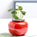 Axyaa Ceramic Persimmon Fruit Flower Pot for Home Decor