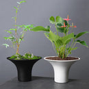 Axyaa Open Floral Arrangement Ceramic Flower Pot for Plant Accessories