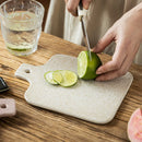 Axyaa Ceramic Steak Tray - Western Style Plate for Home Breakfast and Fruit