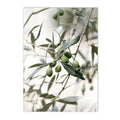 Scandinavian Green Leaves Reeds Posters Boho Wall Art Axyaa Canvas Prints